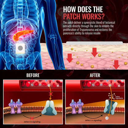 Luhaka™ GlucoShield Blood Sugar Belly Patch🎁CS